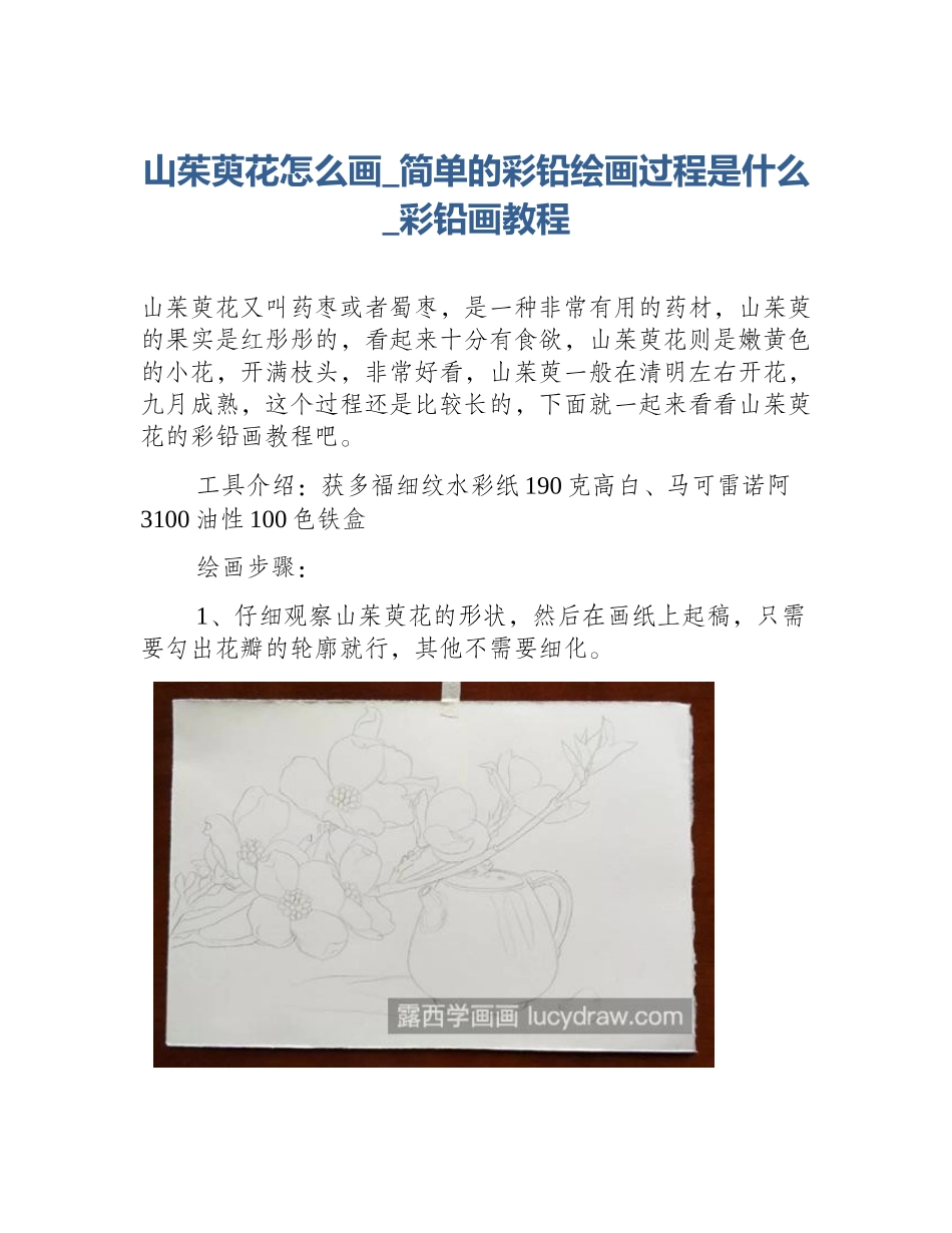 山茱萸花怎么画_简单的彩铅绘画过程是什么_彩铅画教程_第1页