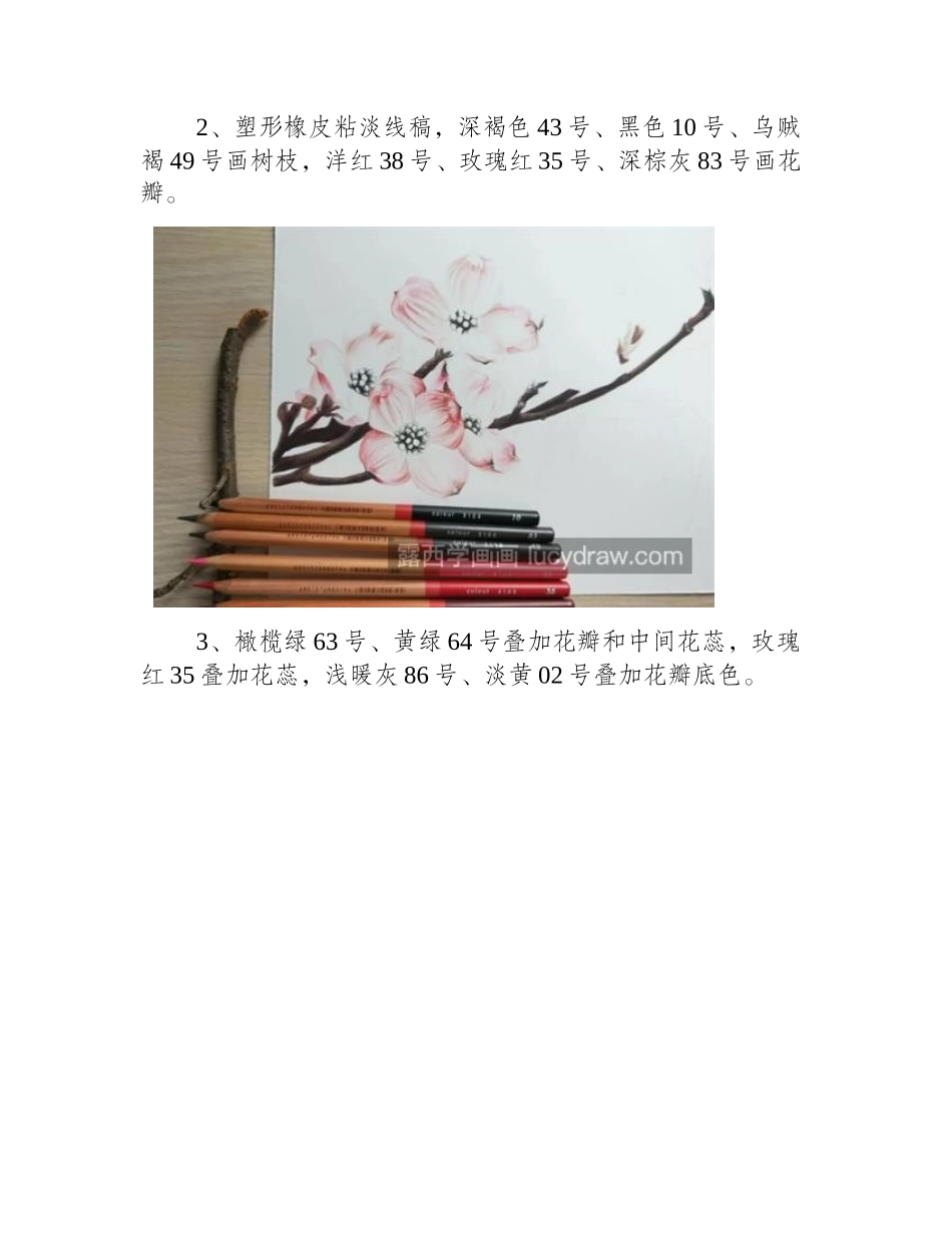 山茱萸花怎么画_简单的彩铅绘画过程是什么_彩铅画教程_第2页