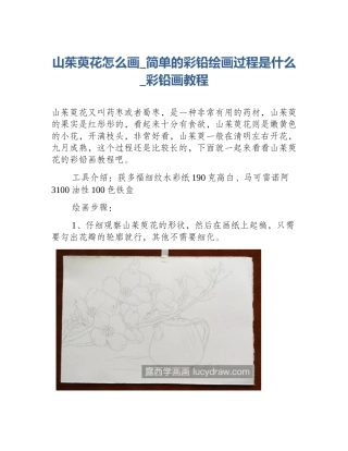 山茱萸花怎么画_简单的彩铅绘画过程是什么_彩铅画教程