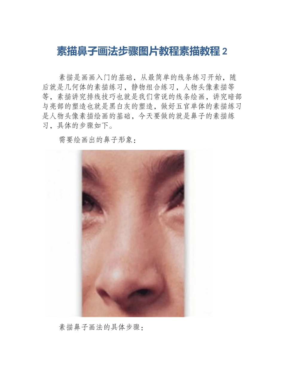 素描鼻子画法步骤图片教程素描教程2_第1页