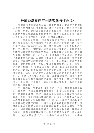 开展经济责任审计的实践与体会(1)