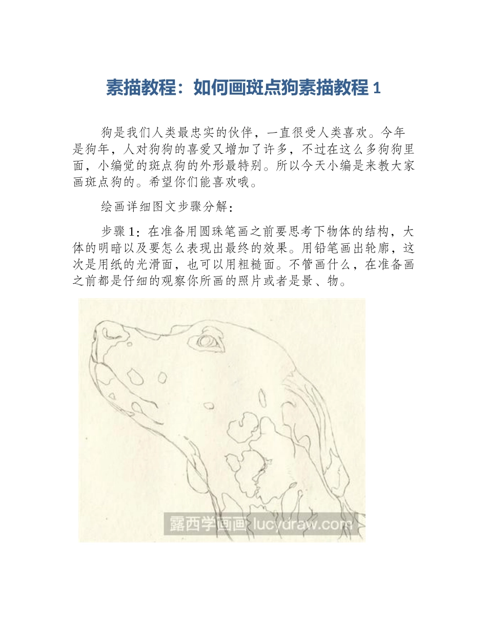 素描教程：如何画斑点狗素描教程1_第1页