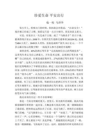 关爱生命安全出行