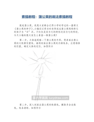 素描教程：蒲公英的画法素描教程