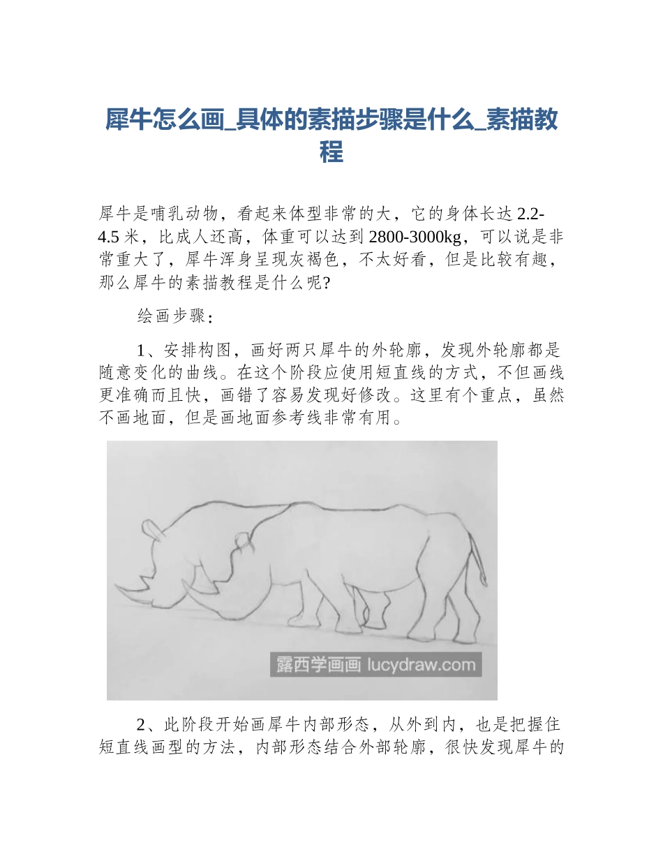 犀牛怎么画_具体的素描步骤是什么_素描教程_第1页