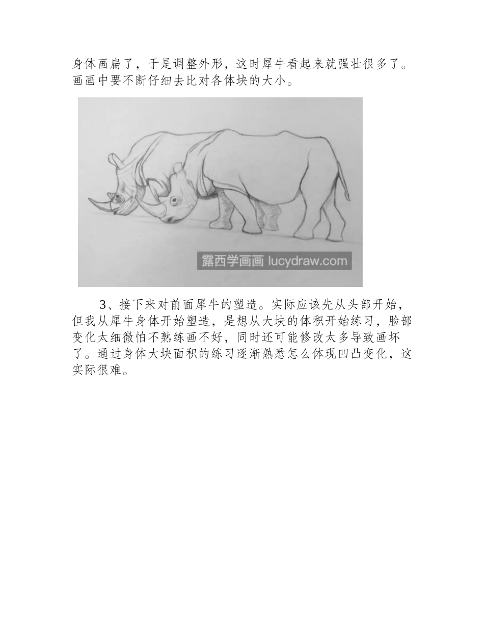 犀牛怎么画_具体的素描步骤是什么_素描教程_第2页
