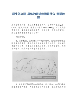 犀牛怎么画_具体的素描步骤是什么_素描教程