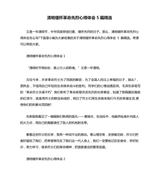 清明缅怀革命先烈心得体会5篇精选 