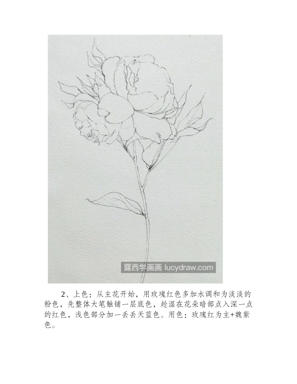 水彩牡丹怎么画_有哪些绘画步骤_水彩画教程_第2页