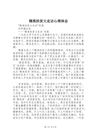 精准扶贫大走访心得体会