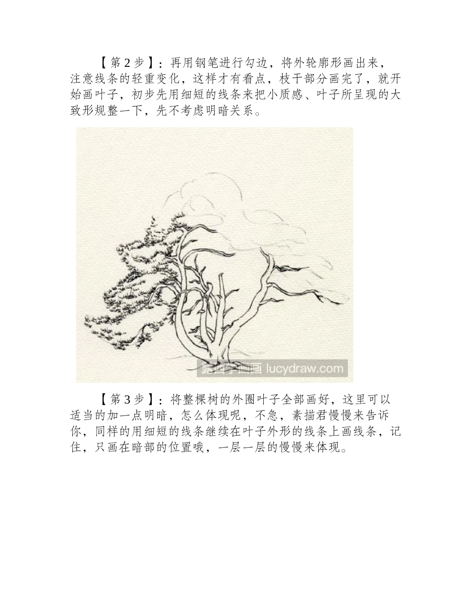 如何用钢笔画树_钢笔画教程分享钢笔画教程2_第2页