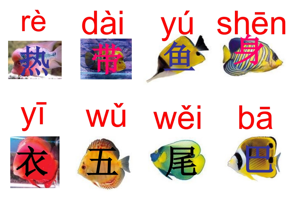 《热带鱼》课件_第2页