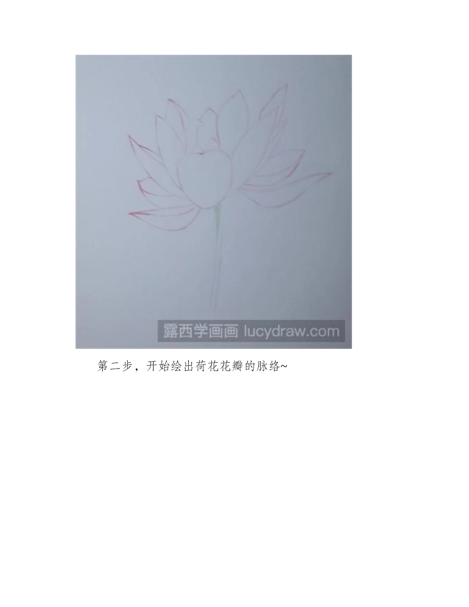 水溶性彩铅画荷花的画法彩铅画教程_第2页