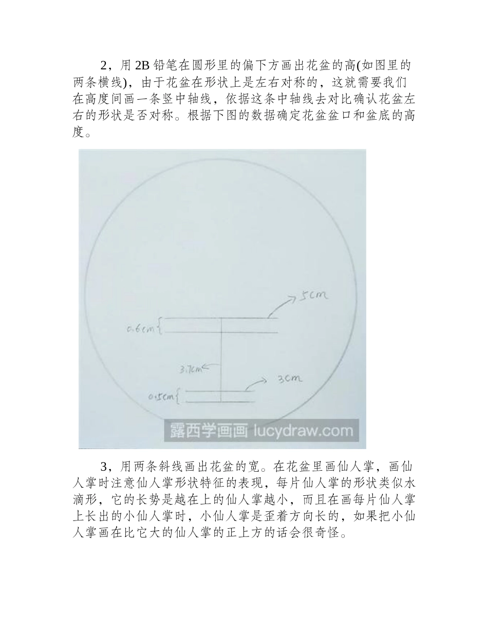 仙人掌插画教程插画教程_第2页