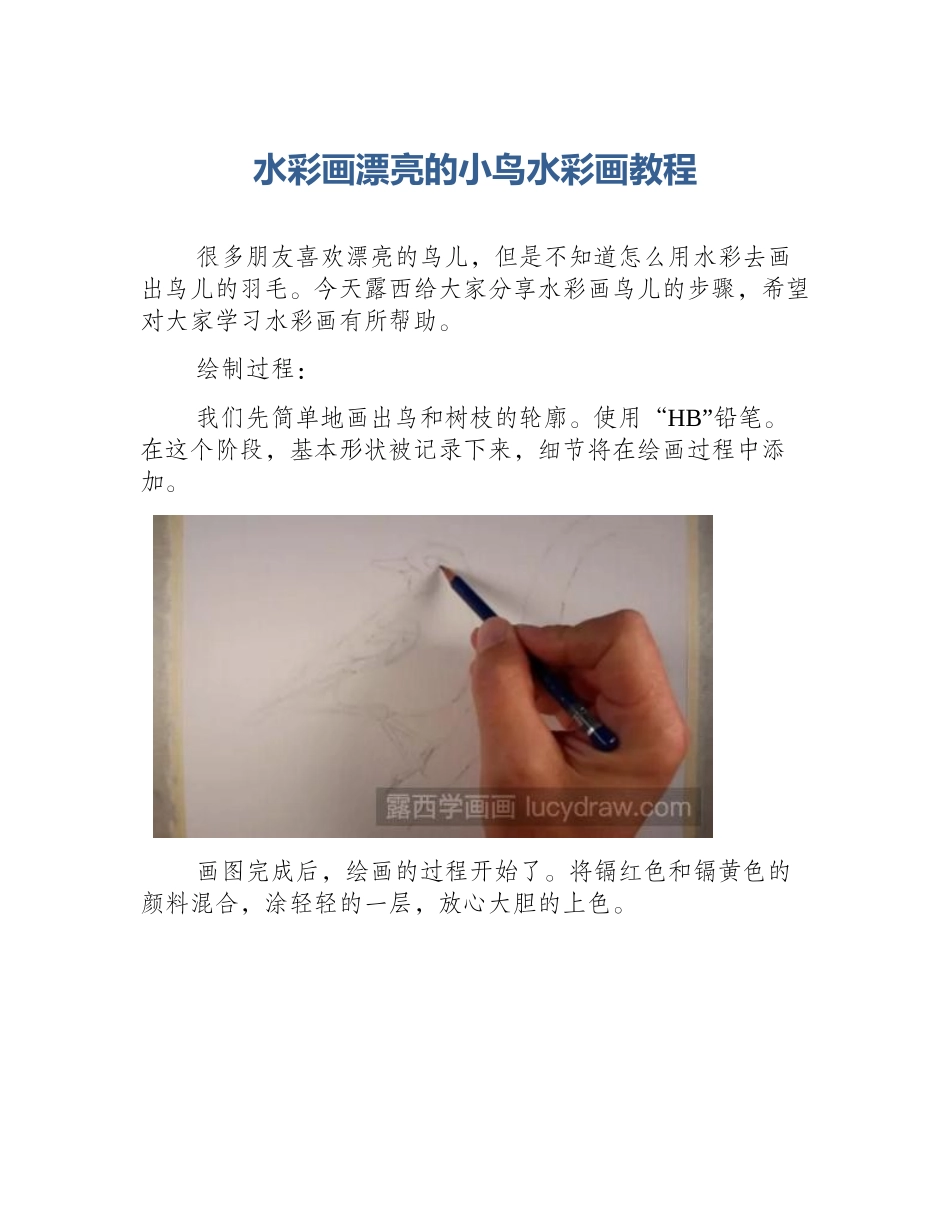 水彩画漂亮的小鸟水彩画教程_第1页