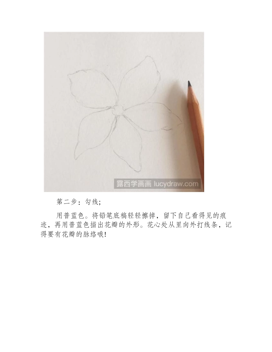 勿忘我彩铅画教程彩铅画教程_第2页