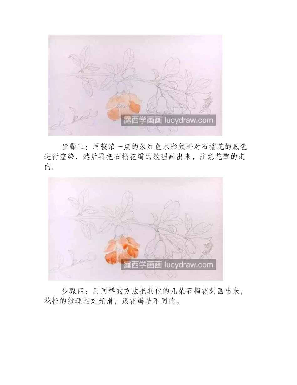 石榴花怎么画_水彩图文步骤有哪些_水彩画教程1_第2页