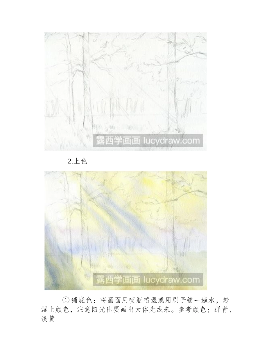 水彩画教程：教你画阳光森林水彩画教程_第2页