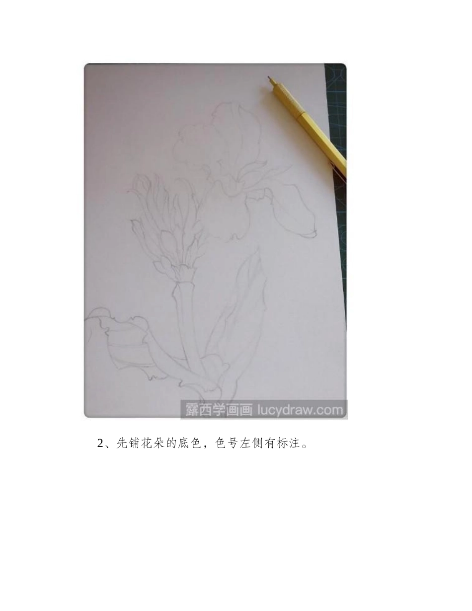 水彩画美人蕉怎么画水彩画教程_第2页