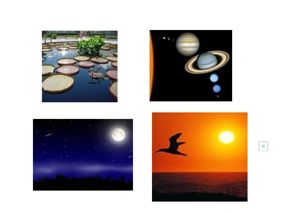 《圆的认识》PPT课件_第1页