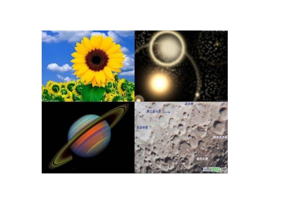 《圆的认识》PPT课件_第2页