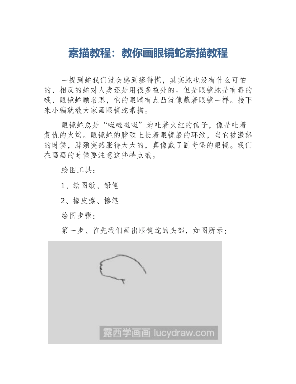 素描教程：教你画眼镜蛇素描教程_第1页
