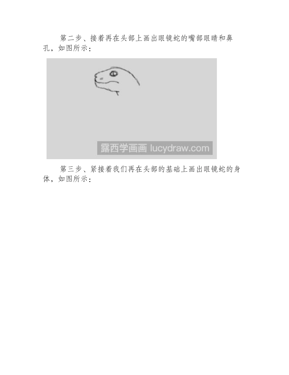 素描教程：教你画眼镜蛇素描教程_第2页