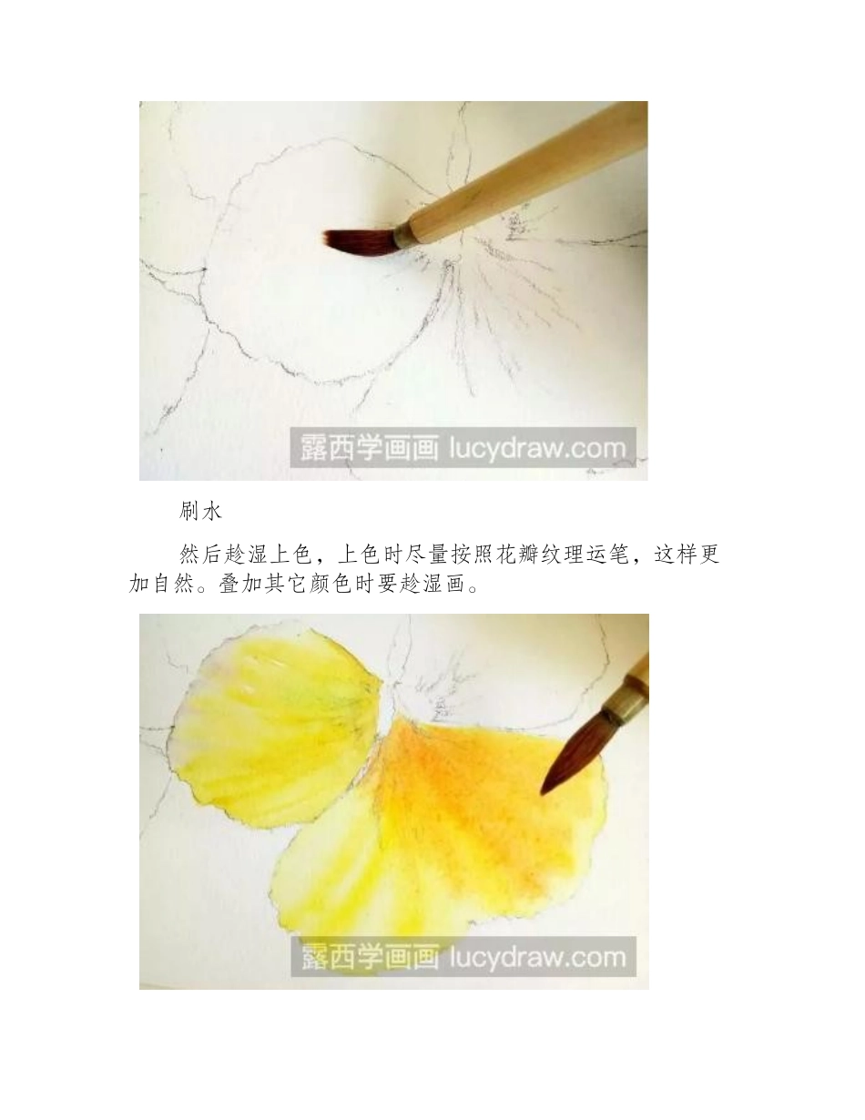 水彩画花卉教程：三色堇的画法水彩画教程_第2页