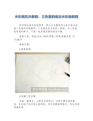 水彩画花卉教程：三色堇的画法水彩画教程