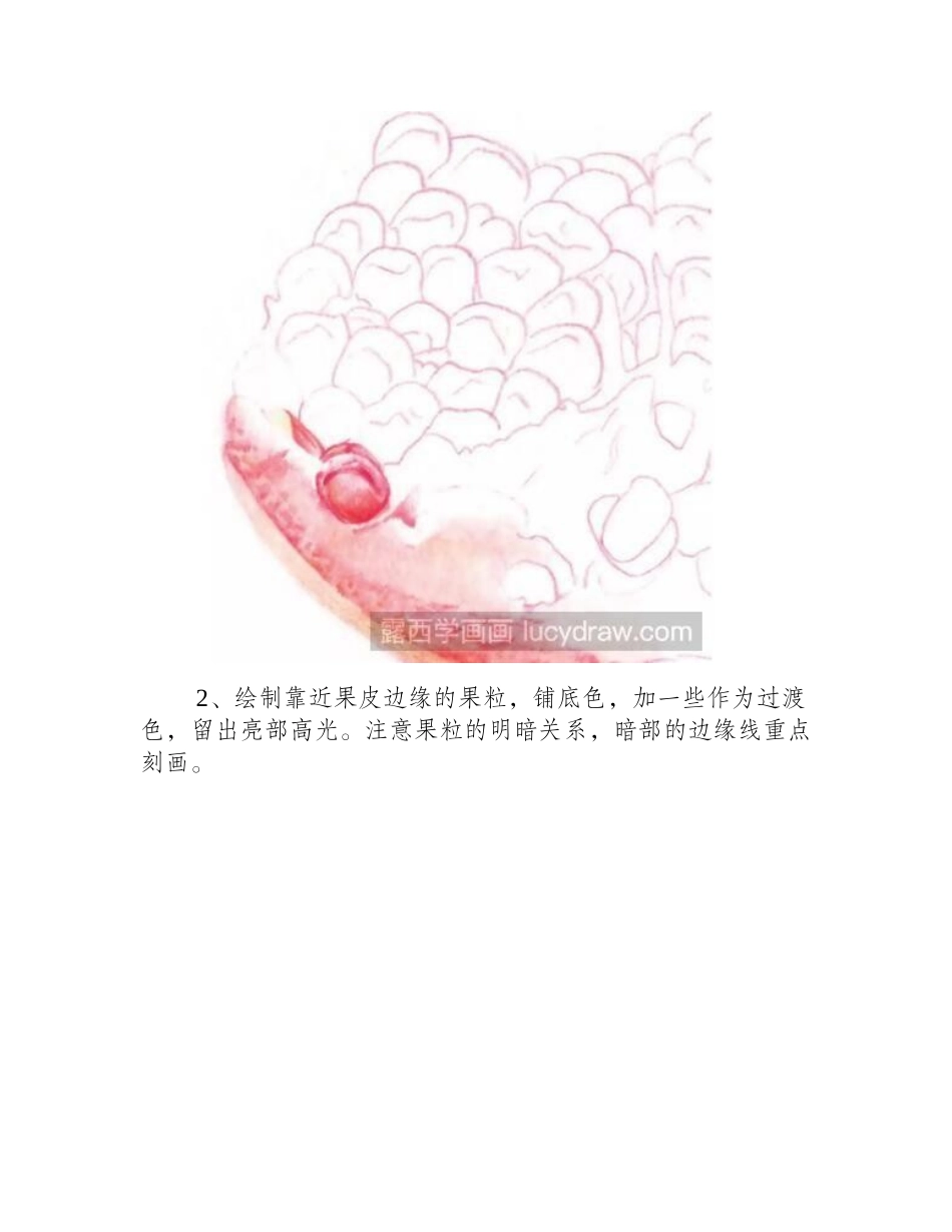 石榴彩铅画教程彩铅画教程_第2页
