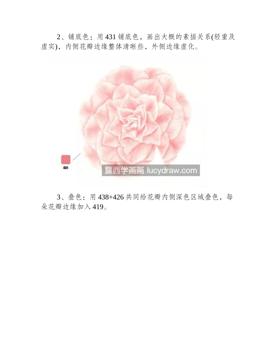 山茶花怎么画_粉色山茶花的彩铅步骤有几步_彩铅画教程_第2页