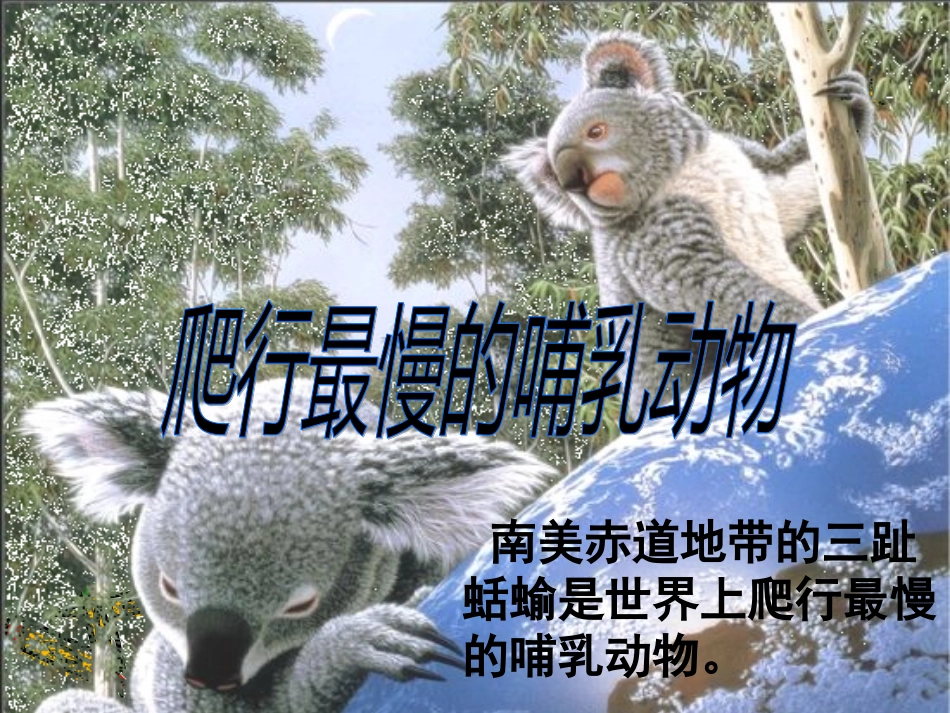《爬行最慢的哺乳动物》_第2页