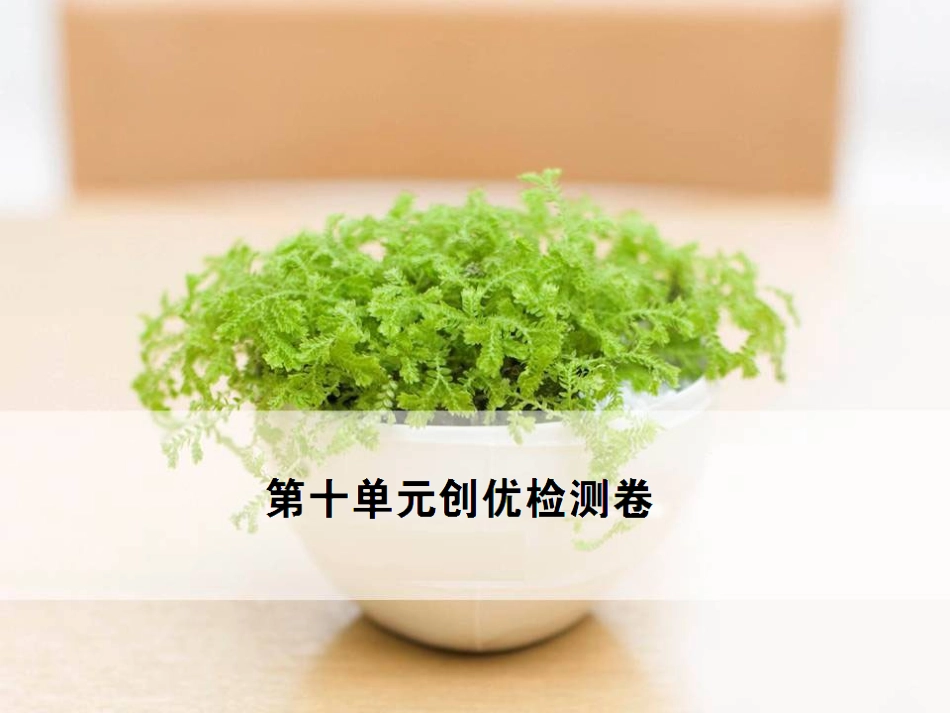 九年级化学第十单元检测卷(1)_第1页