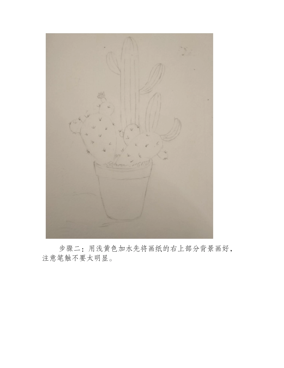 水彩画仙人掌教程水彩画教程_第2页
