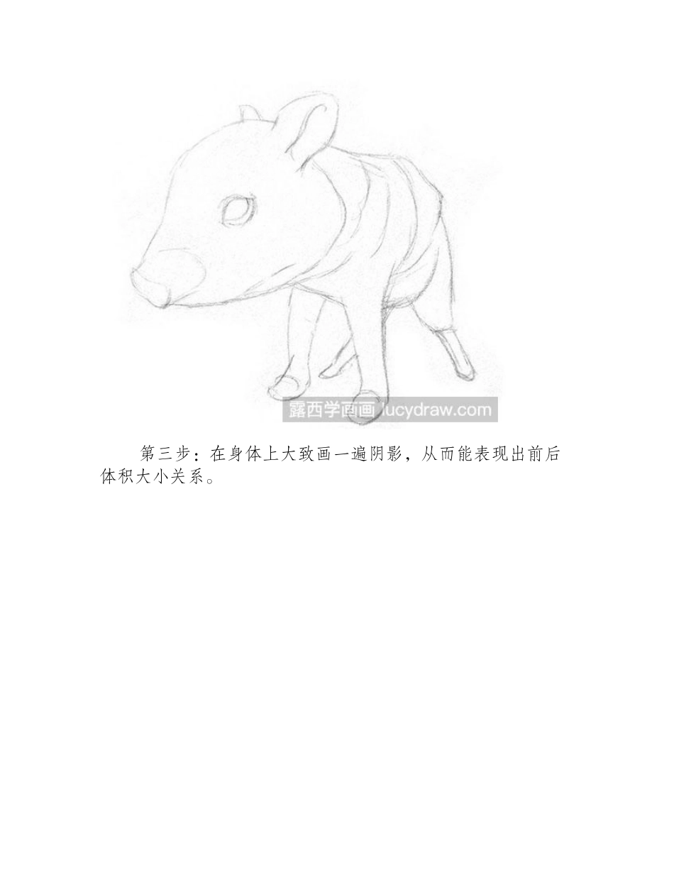 素描动物-素描小野猪教程素描教程_第2页