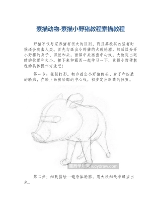 素描动物-素描小野猪教程素描教程