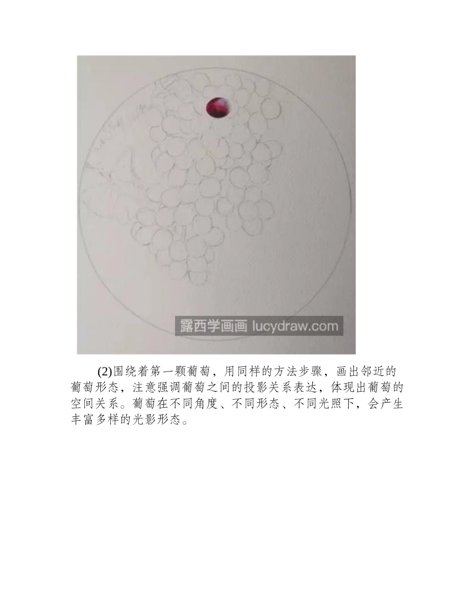 水彩葡萄怎么画_具体的步骤有哪些_水彩画教程_第2页