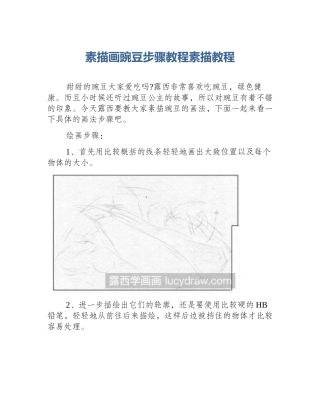 素描画豌豆步骤教程素描教程