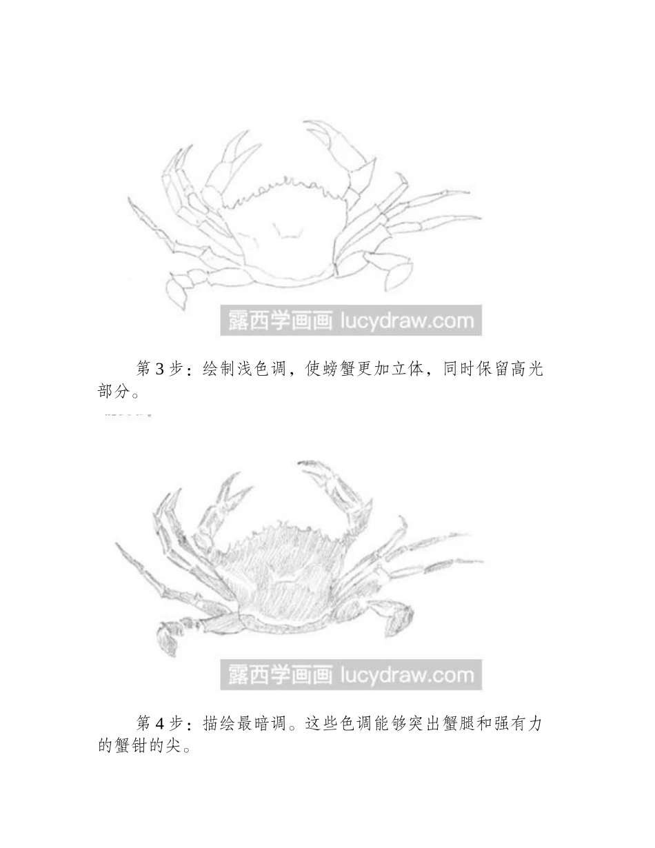 素描教程：教你画螃蟹素描教程1_第2页