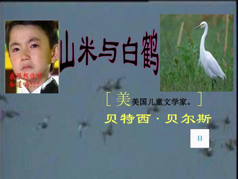 2012语文版八上《山米与白鹤》课件](4)_第1页