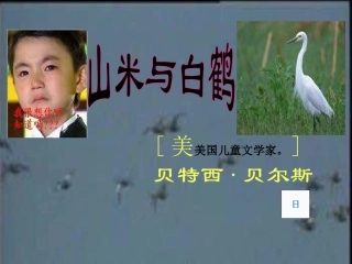 2012语文版八上《山米与白鹤》课件](4)