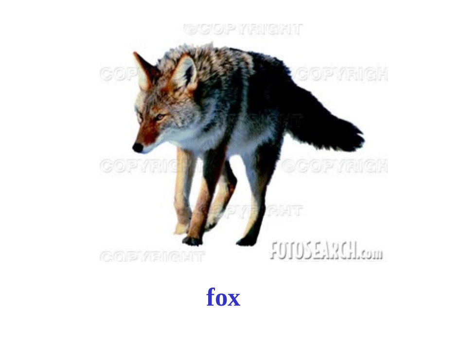 冀教版初三下册_Unit_5_Lesson_37_The_Fox_and_the_Stork_第3页