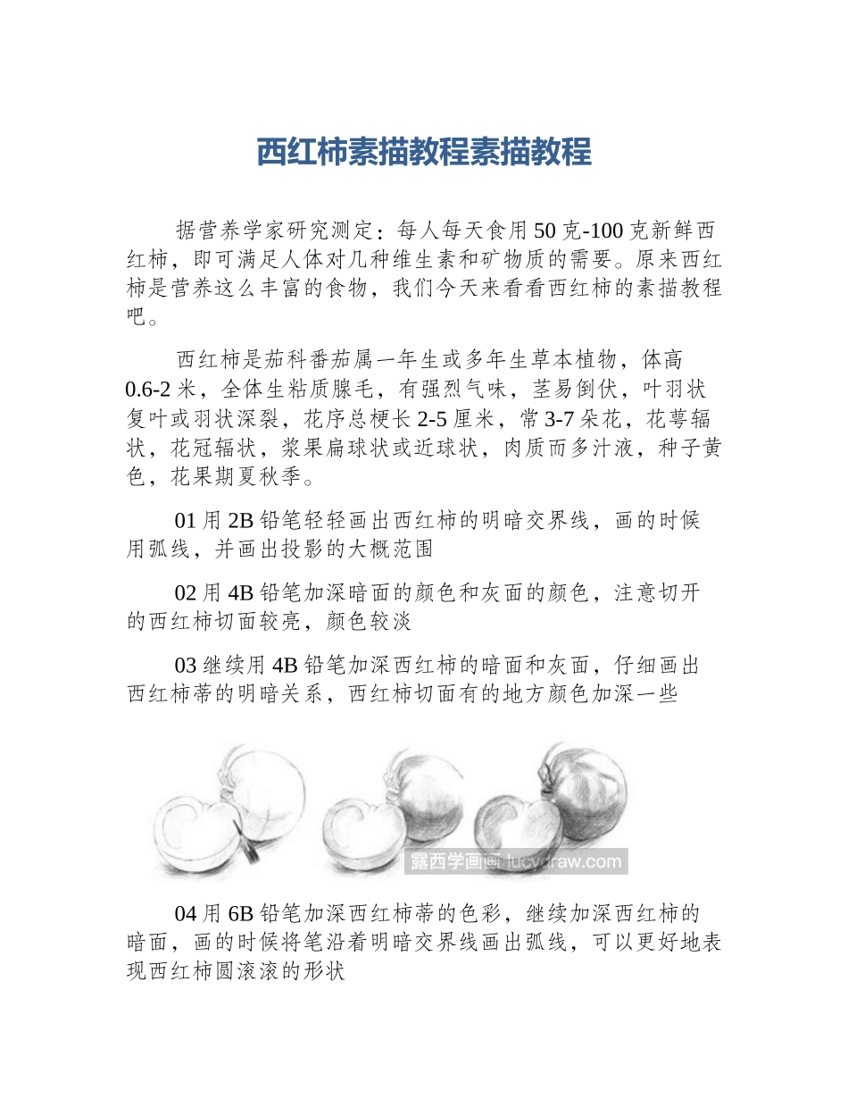 西红柿素描教程素描教程_第1页