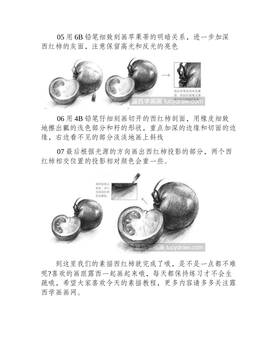 西红柿素描教程素描教程_第2页
