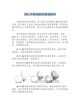 西红柿素描教程素描教程