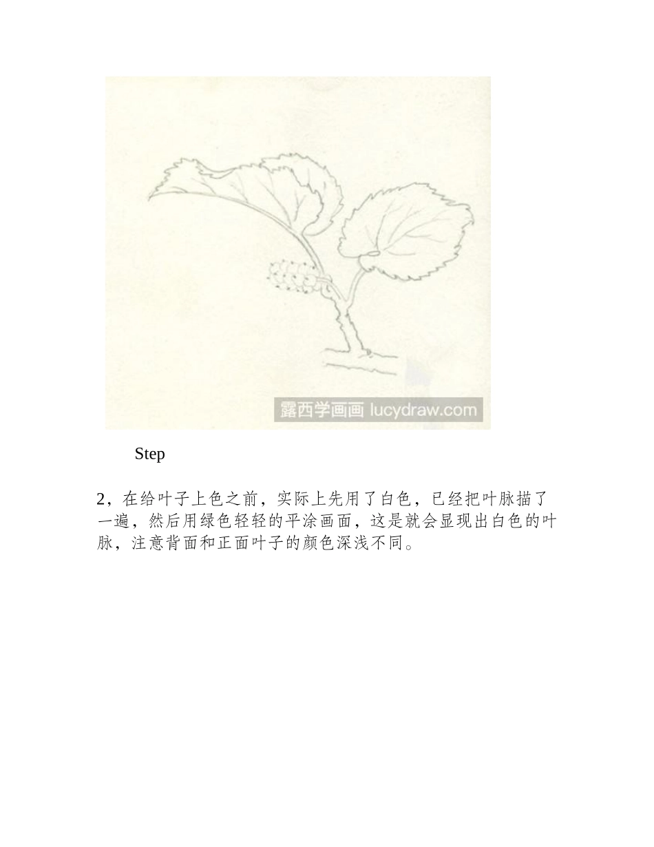 桑葚彩铅画教程彩铅画教程_第2页