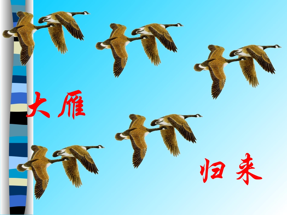大雁归来 (3)_第1页