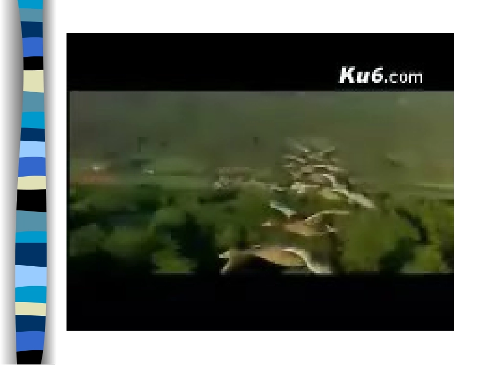 大雁归来 (3)_第2页