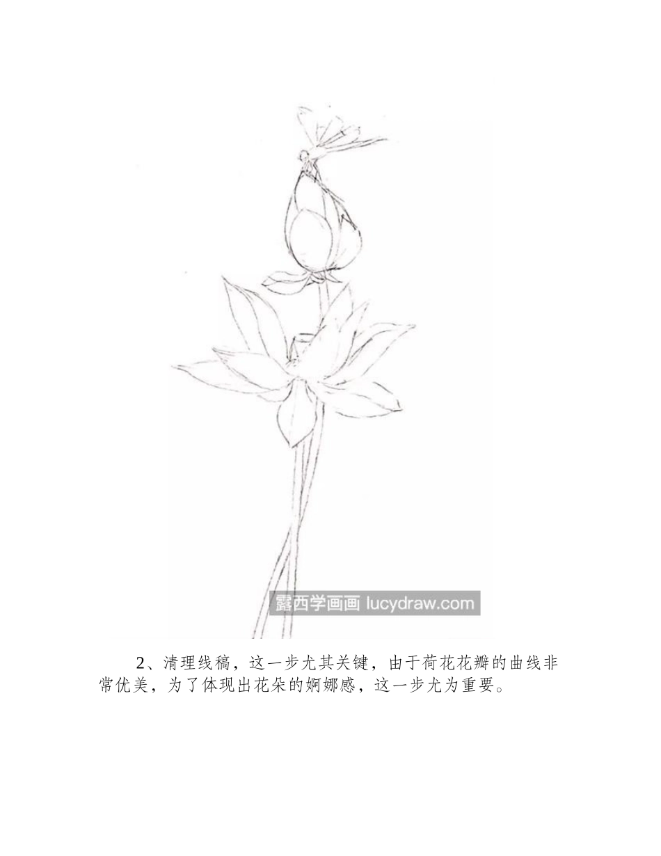 素描荷花怎么画_绘画过程是什么_素描教程_第2页