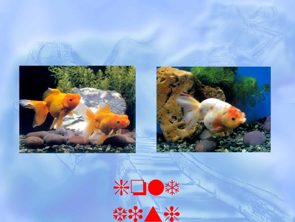 八年级下册Unit8SECTIONB课件_第3页
